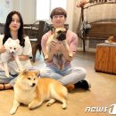 영진펫 이미지
