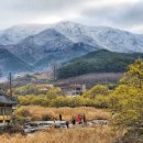 The 산수유