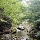 항골 | 정선 항골 숨바우길 계곡 트레킹 코스 늦여름 물놀이 가을 단풍명소 트래킹 주차장