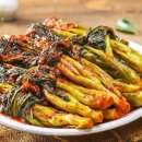 자연처럼 이미지