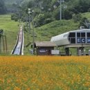 가족호텔 민들레동 이미지