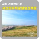 해운로 | 벚꽃길 펼쳐진 서산한우목장웰빙산책로 다녀온 후기