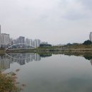 미사호수공원 이미지