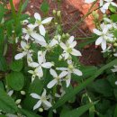 근흥중학교 이미지