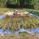 해님농장 이미지