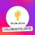 옐로우캑터스yellowcactus 이미지