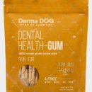 수플러스덴탈 이미지