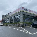 동굴 낙지와 쭈꾸미 이미지