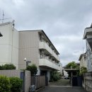 오크하우스 | 도쿄 워킹홀리데이 오크하우스 셰어하우스 거주 후기 | 5,000엔 할인 코드 有!!