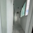 국화한신 이미지