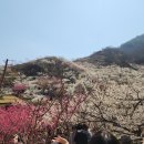 광해루 - 충주시 충청대로 2220-2 | 광해루