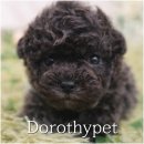 용봉농장 이미지