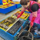 세븐일레븐 부산민락본동점 | 부산 광안리 해수욕장 민락회타운 회포장