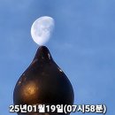 2025년01월19일(음력12월20일)(07시47분)(행복정의 달) 이미지