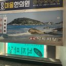 솔밭낙지마당 이미지