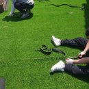 자라스파펜션 이미지