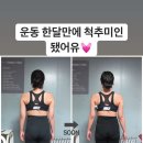 엑스바디 이미지