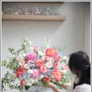 플라라레
