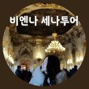 세나투어 - 서구 평리로 236 | 비엔나 여행 세나투어 : 미녀 가이드 일일투어 추천