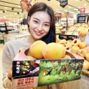 산지뚝심 이미지