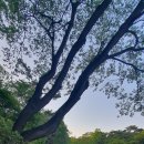 당지농장 이미지