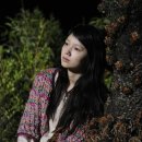 노란코끼리 이미지