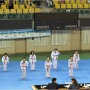 경희대명품꿈나무 태권도장 네이버블로그