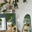 본죽&비빔밥 대전도마동점 네이버블로그