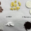 제과제빵(실기대비) 이미지