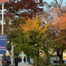 CU 덕적도점 | 덕적도 섬 백패킹 후기 | 인천항에서 덕적도, 덕적도 서포리해변 박지 및 화장실, 식당, 편의점 정보