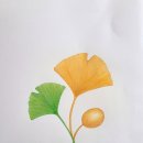 보태니컬 아트 초급 이미지