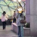 (주)다솔 | 2026년 3월 1째주, 그 날들의 기록(방탈출 도어런, 큐피드아카데미 테스터, 김현아 쇼핑)