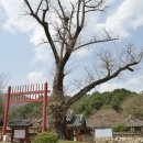 세심정洗心亭 이미지