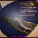 한국잠사박물관 이미지