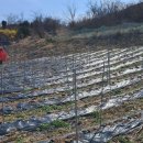 대지부동산중개인사무소 이미지