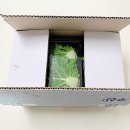 김판수과메기 이미지