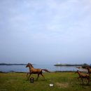 하모해수욕장 이미지