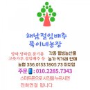 땅끝해풍농산