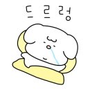 유주얼하우스 네이버블로그