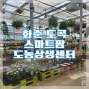 성동 상생 도시센터 | 전남 화순 도곡 스마트팜 도농상생센터 방문 후기