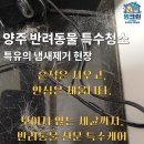 특수청소 - 남원시 시청로 39 | 양주 아파트 반려동물 냄새제거 비용 쌓인 강아지털과 오염물 특수청소 후기