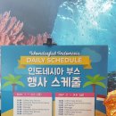 사삭투어 이미지