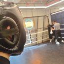 용인대본투더복싱 이미지