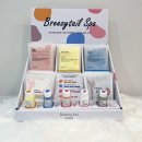 댕그리 펫 살롱 이미지