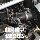 성용모터스 이미지