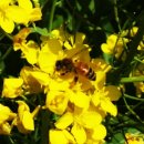 제주산토리니 이미지