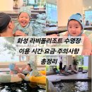 라비돌매점 | 화성 라비돌리조트 수영장 후기, 가족여행 필수코스! 이용 시간·요금·주의사항 총정리