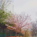공방다