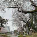 제주와봄 이미지