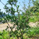 마정농장 이미지